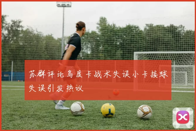 苏群评论乌度卡战术失误小卡接球失误引发热议